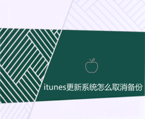 蘋果itunes更新系統(tǒng)怎么取消備份